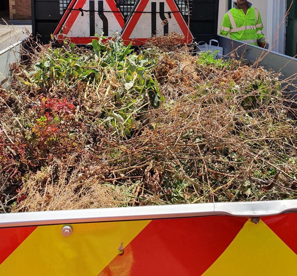 weeds removed from the town centre